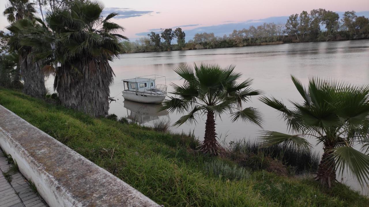 Habitacion Doble Con Aseo Compartido Coria del Río Buitenkant foto